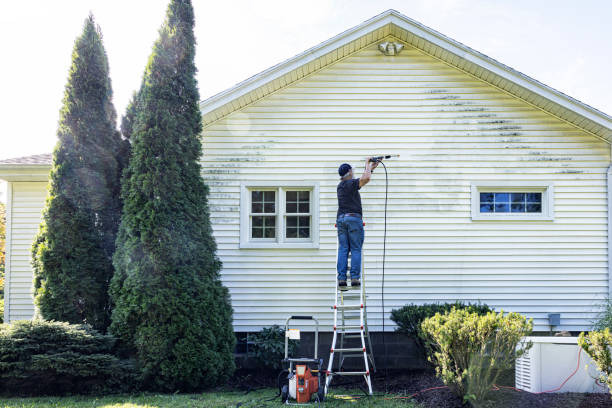 Best Deck Pressure Washing  in Elizabeth, CO